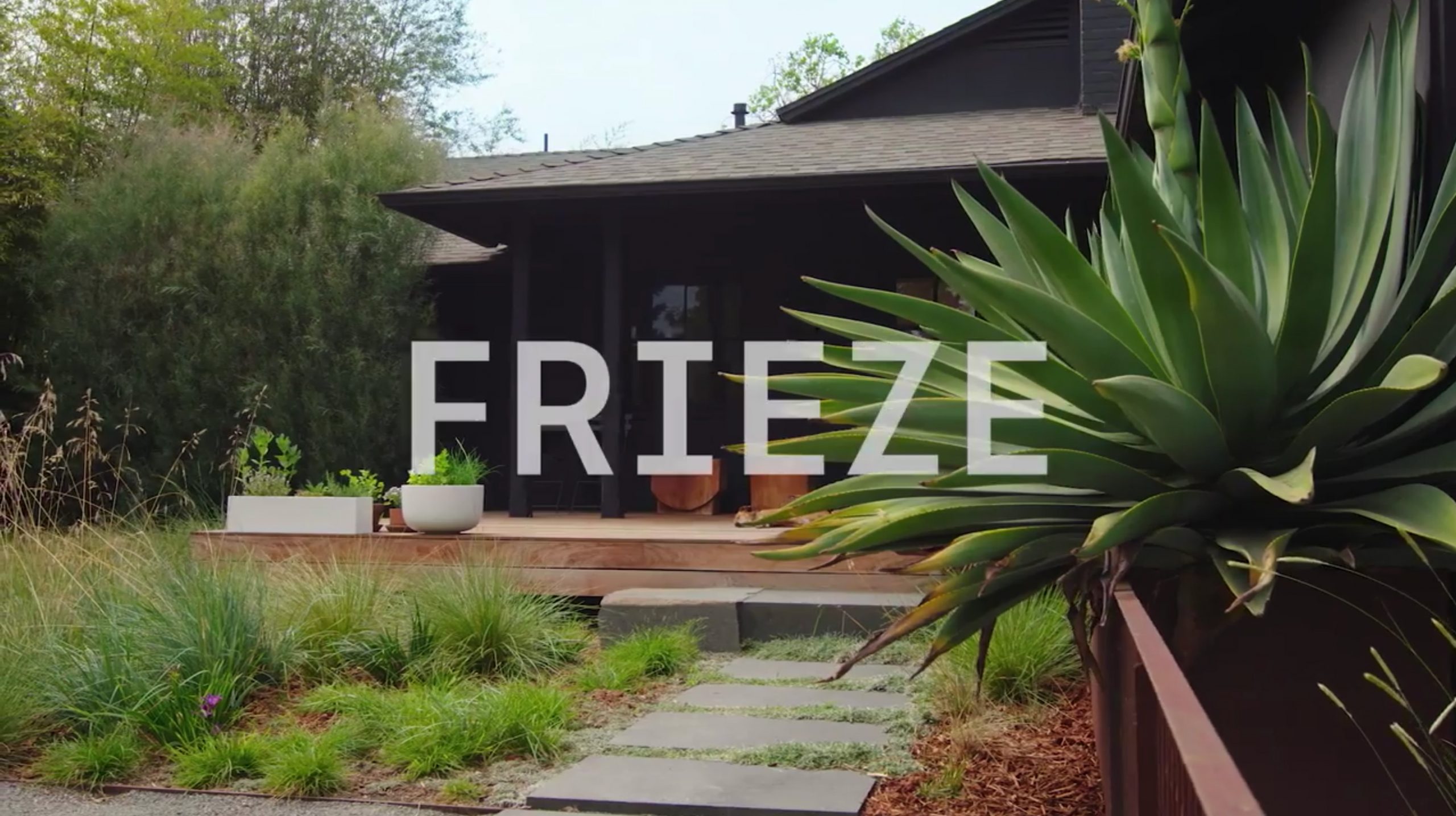 Frieze - Sotheby's International Realty Hawaii